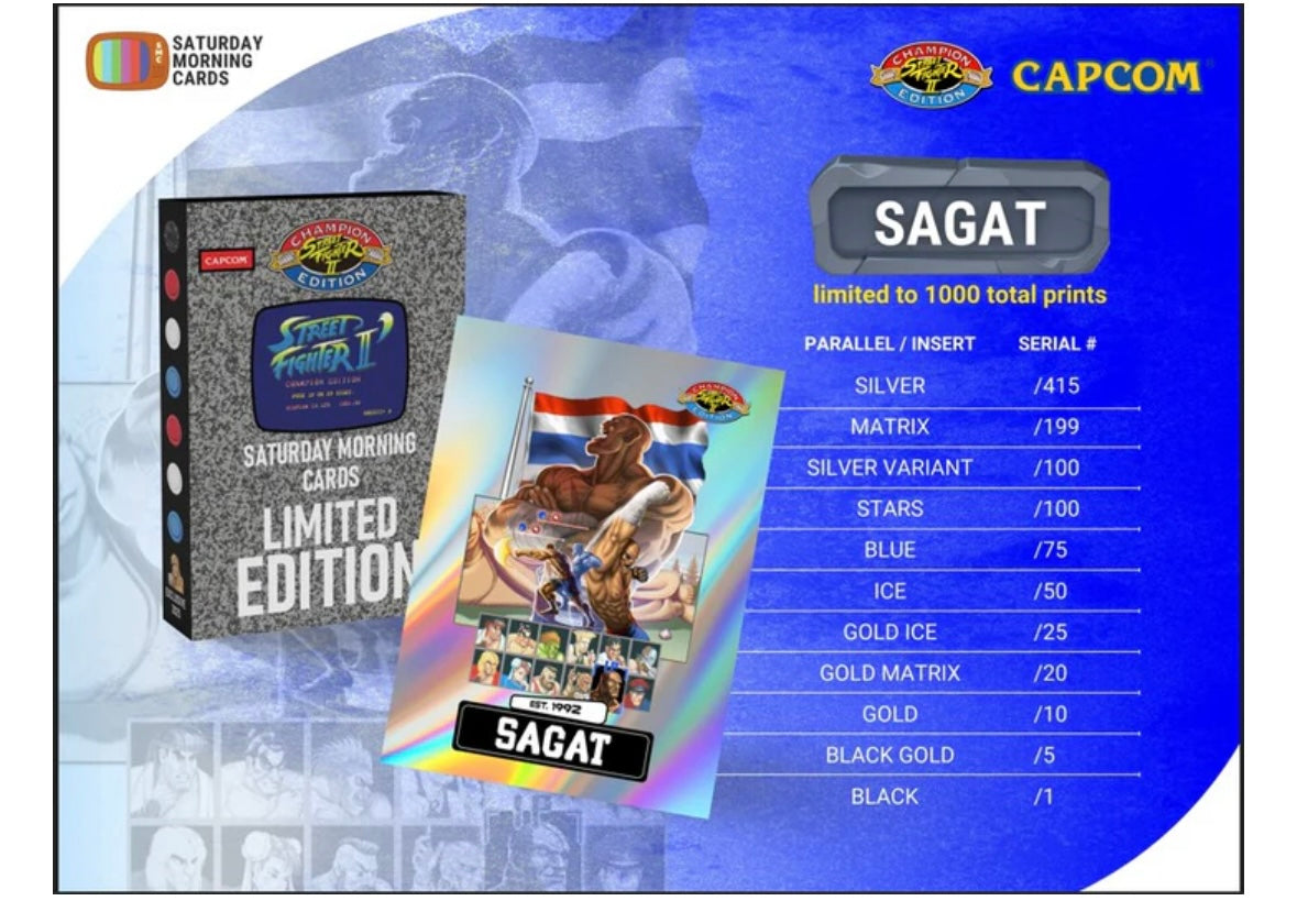 Street Fighter 2: Vol 2. RYU vs. SAGAT (Dual Cards)