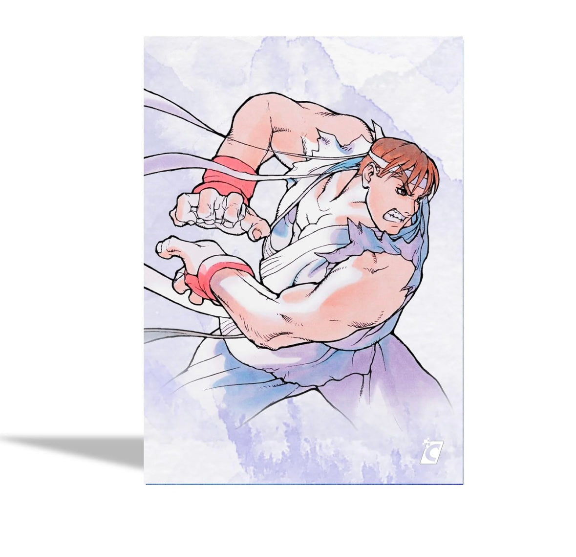 Perorder-STREET FIGHTER ALPHA: WARRIORS' DREAMS TRADING CARDS COLLECTOR BOX